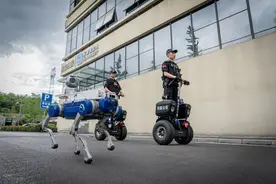 火出圈的“机器狗”又来了！“绵阳造”四足仿生机器人科技范儿十足图片