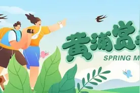 黄浦滨江步道的樱花开了，速来打卡！图片