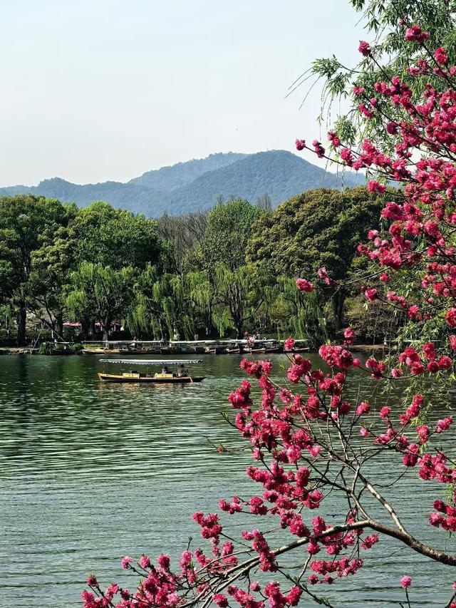 晚潮｜邀山揖湖：四季繁花与千年山水