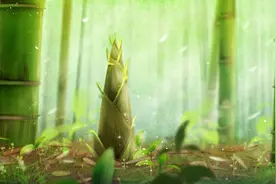 一文咬春，进来正确吃春菜→图片