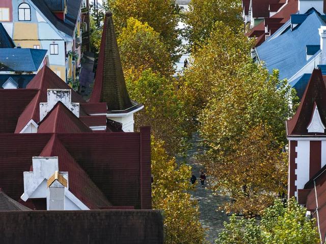 该如何给你解释呢？这真是彭州的冬天