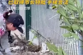 华人获市长特批在法国开垦种菜，手续合法：中国人勤劳肯干图片