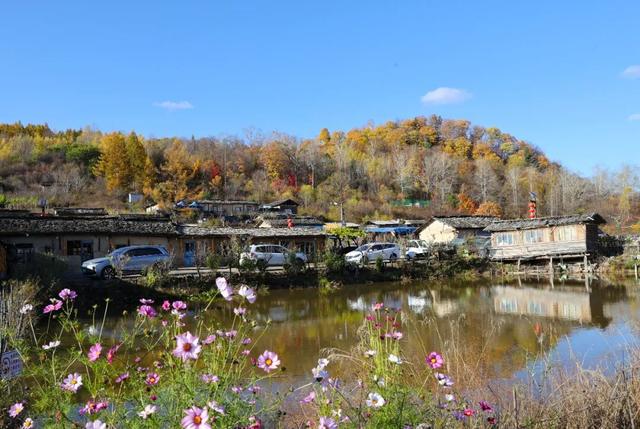 省媒看白山 | 吉林日报：秋色浸染百年村落，长白山腹地“木文化活化石”风光正好