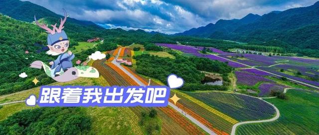 跟着灵兮共赴红池坝的夏日绮梦之旅！
