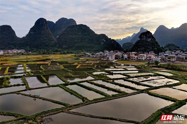 岁暖时刻丨峰峦为幕，稻田作镜！沐宦头村的黄昏是自然最工整的构图