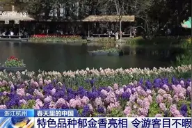 春花烂漫 万象“耕”新！春天里的中国活力满满图片