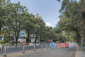 厦门街头已出现！闻多了头晕恶心……图片
