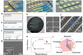3D打印革新芯片 “纳米血管”图片