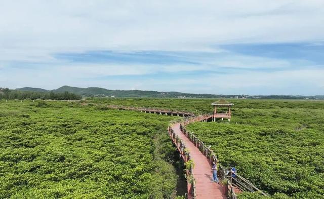 粤桂琼十三市报刊专版聚焦防城港：逐浪欢歌 潮玩防城港