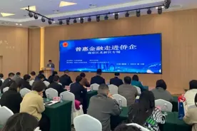 南京市侨联组织普惠金融进侨企专场活动图片