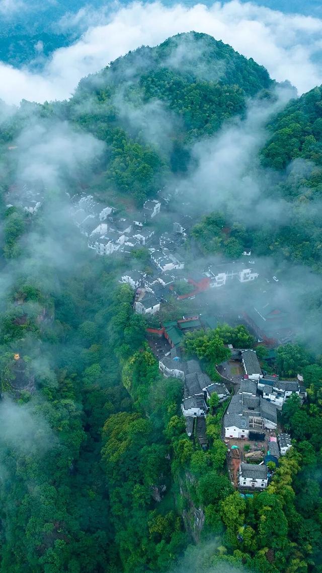 @就读于黄山市的大一新生，这里免门票！