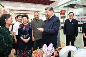 学习进行时丨习近平总书记和宁夏的故事图片