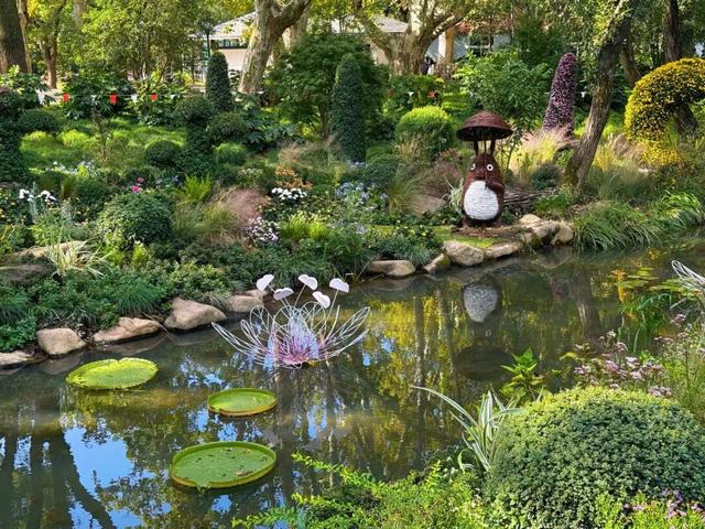 免费打卡5000平方米花海、500个品种菊花……上海“莫奈花园”又上新了！