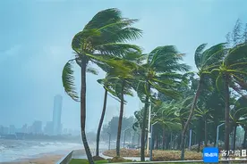 镜头直击防御超强台风“摩羯”第一现场：风里雨里，我们在一起图片