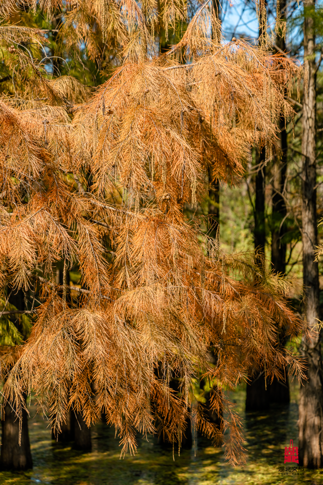 抓住晴天尾巴，徒步青龙山！