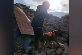 西藏日喀则地震救援现场，搜救犬抵达搜救视频封面