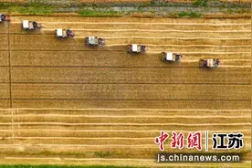 江苏白马湖农场“三夏”时节收割忙图片