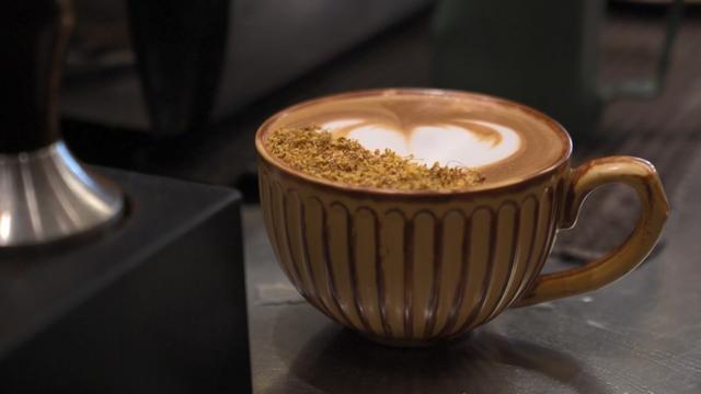 最近的浙江，香迷糊了！这个周末，跟着追