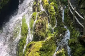 郧西龙潭河：20℃的夏日清凉地图片