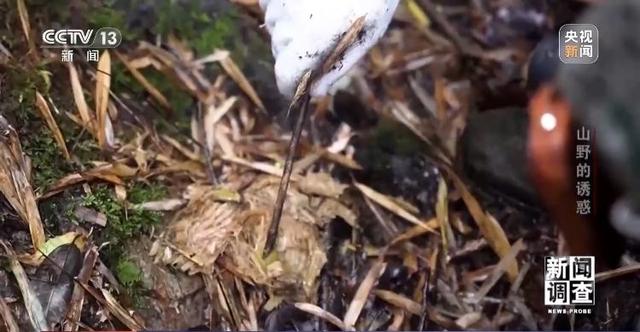 户外探险事故频发 如何规范管理“越界”行为？