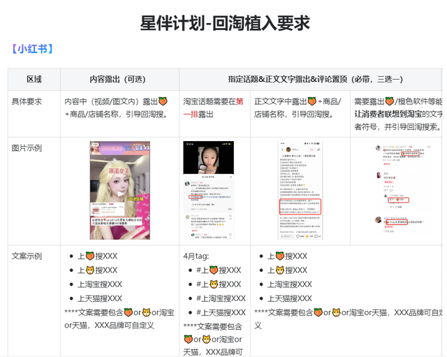 小红书的红猫计划到底是啥？