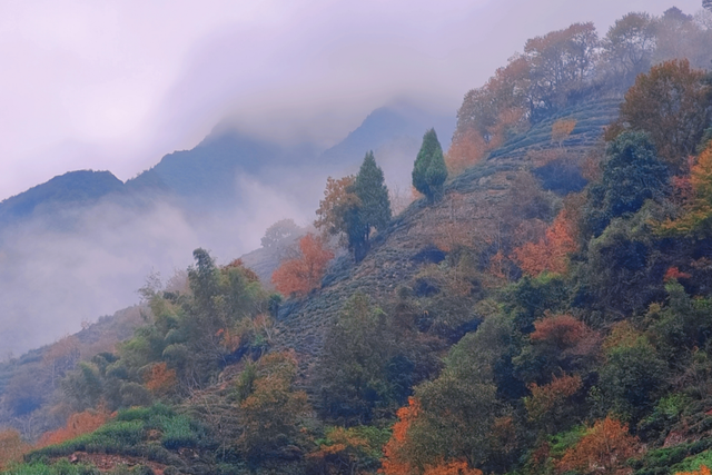 动身前往！收藏千岛湖跨越秋冬的诗意