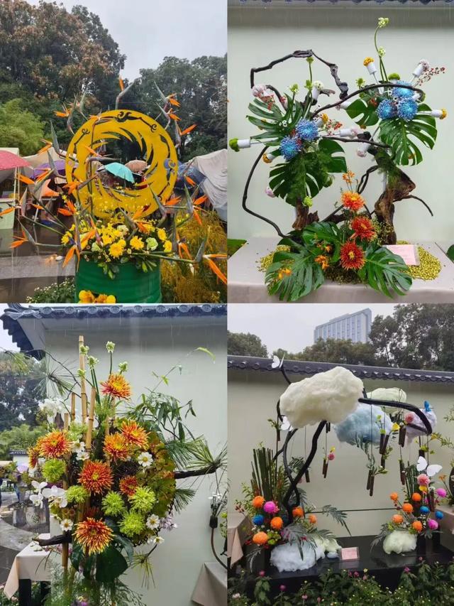 免费观赏！美到犯规