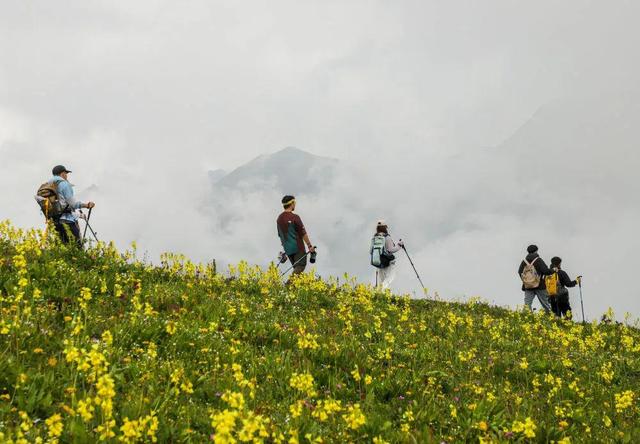 锦绣天府·安逸四川｜四川阿坝：九顶山风景如画