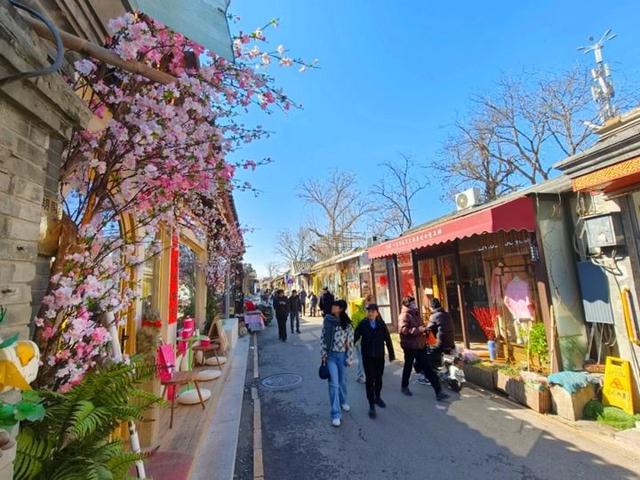 北京号最精彩 | 上春山！京城第一波春花开啦