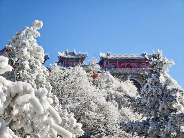 岱宗披霜缟 冰韵醉人间