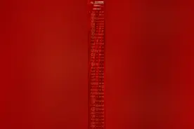 正在公示！春城晚报-开屏新闻17件作品入选图片