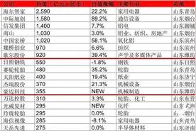 潍坊两家企业上榜2024胡润中国500强，豪迈科技系首次登榜图片
