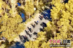428名自行车选手驰骋在“醉美胡杨”与沙漠戈壁间图片