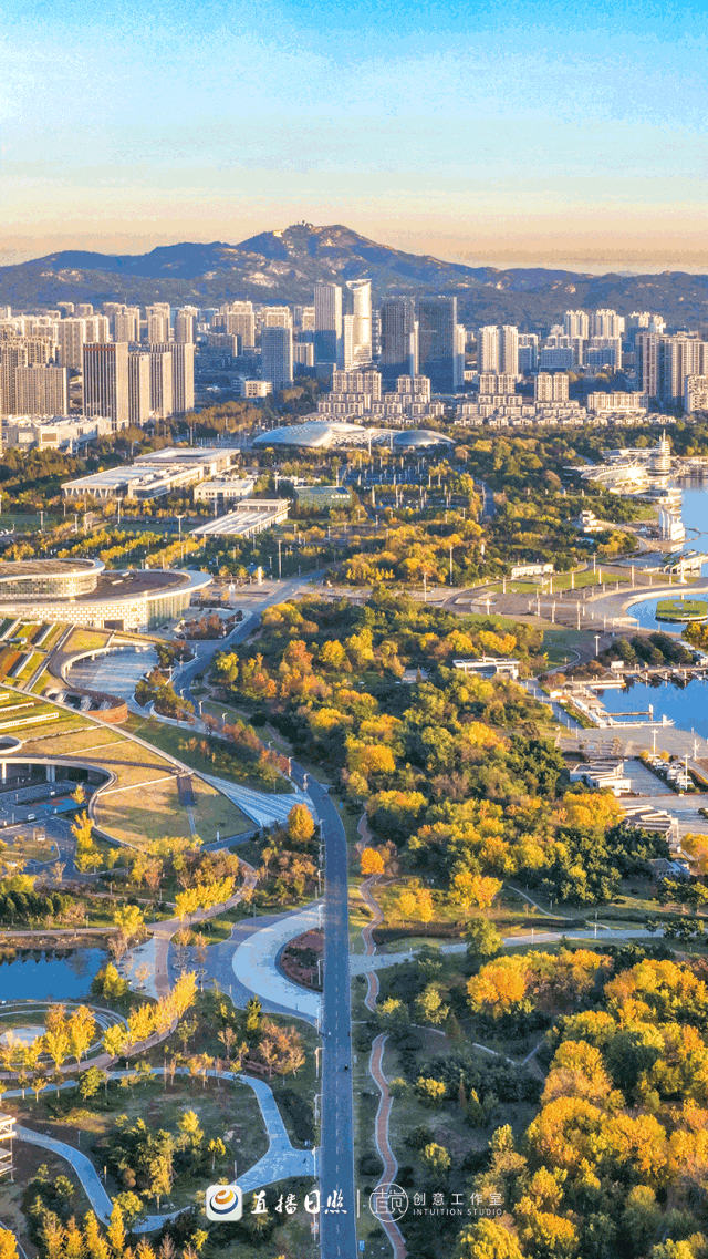 日照，“毛茸茸”！