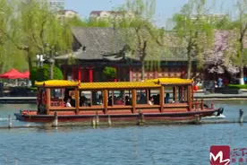 追繁花 | 大明湖畔已是花花世界图片