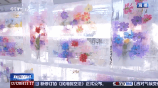 视频丨赏冰雕品美食 穿唐装游古街 周末开启跨年欢乐模式