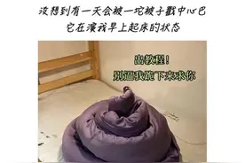 早上起床，真的不要叠被子图片