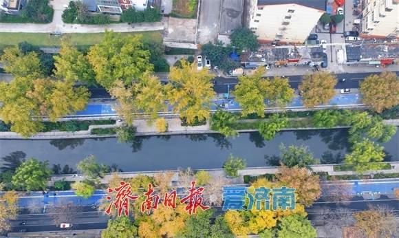 一年四季 泉在济南丨工商河畔 层林尽染秋意浓