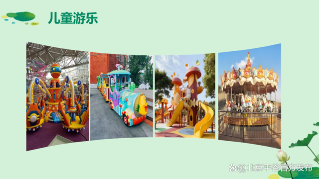 7月25日起，每周五六日晚锁定马坊！荷花市集+相声摇滚，连续四周躁起来