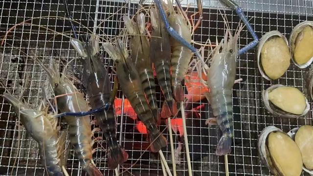 藏不住了！新会人身边的“欢乐农场”！