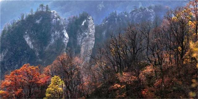 亮相央视！洛阳这些赏秋地，太美！