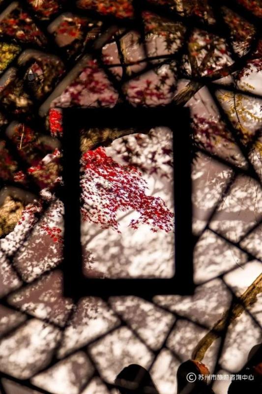 火上央视！苏州变身“黄金州”