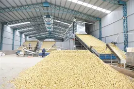 “姜”山多娇“钱”景阔图片