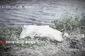 22年终于侦破！凶手被抓时正因杀害继母服刑图片