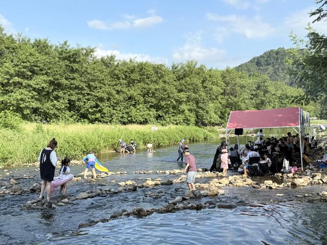 荒废滩林变身“金滩银林” 瑞安这个村让旅游流量变留量