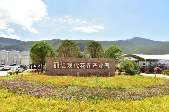 途经多个热门景点，丽江这趟旅行直通车开始运营！
