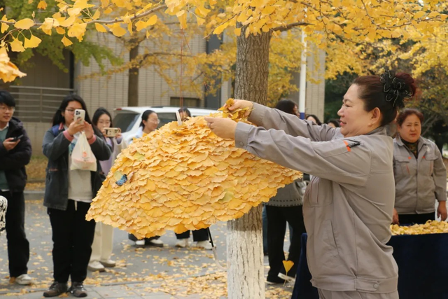 “银杏伞”火出圈！网友：不建议推广，因为我没有