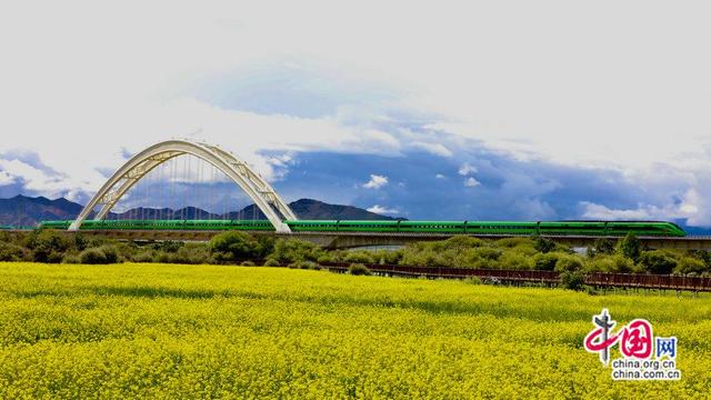 高原“复兴号”列车如绿色长龙穿梭雪域高原