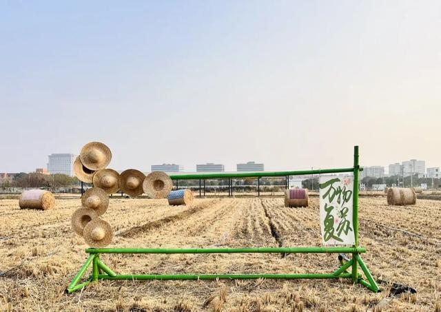 超出片的草垛“瑞士卷”，闵行也有啦！