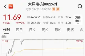 8天4板！电机龙头冲击港股IPO，布局机器人引爆股价图片